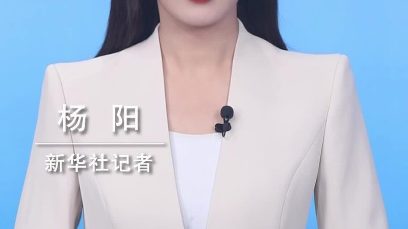 OA协同办公系统：揭秘其优缺点与合理报价